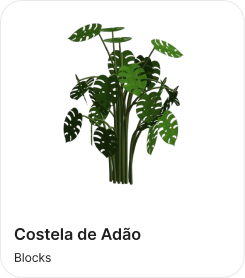 Costela de Adão (PT)
